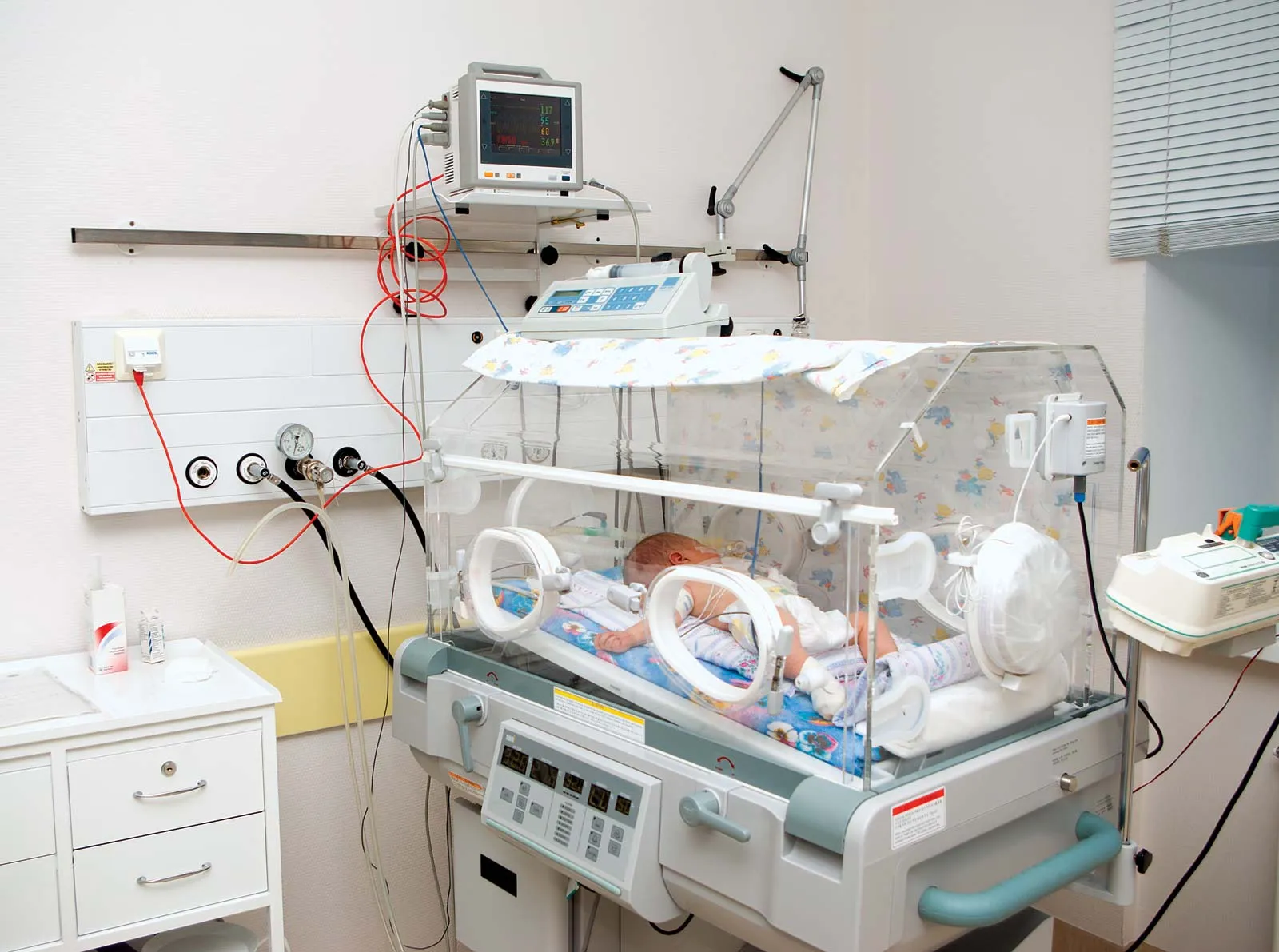 Incubator